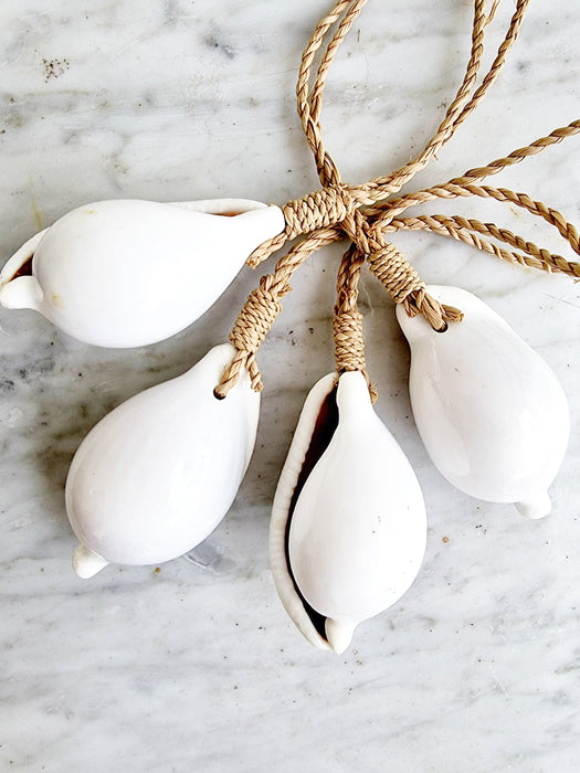 White Shell - Pendant Style
