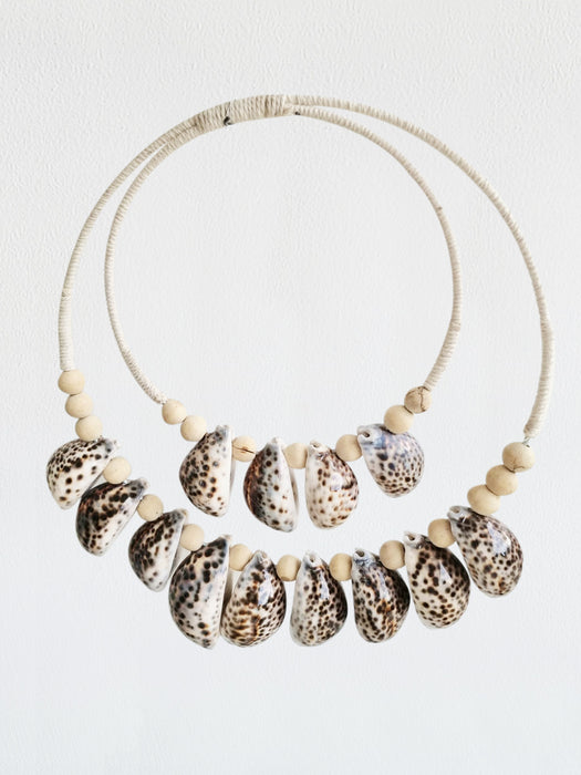Double-Orbit Shell Wall Hanging